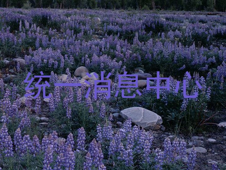 统一消息中心