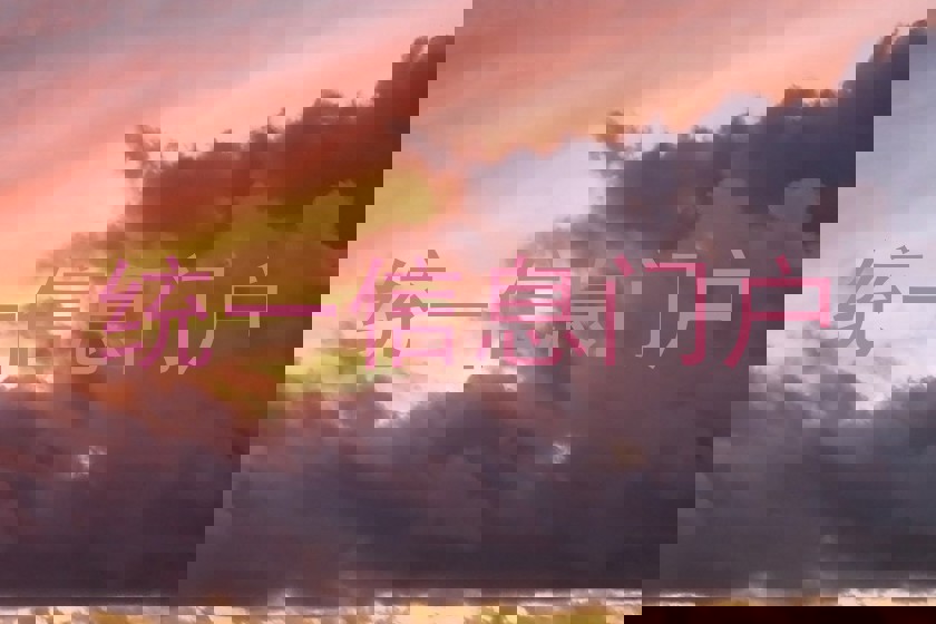 统一信息门户