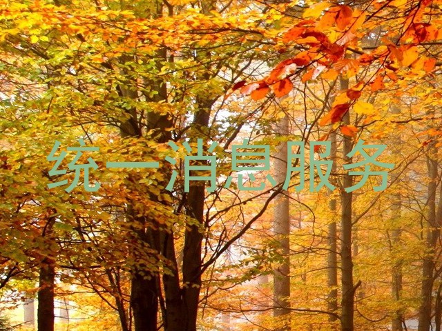 统一消息服务