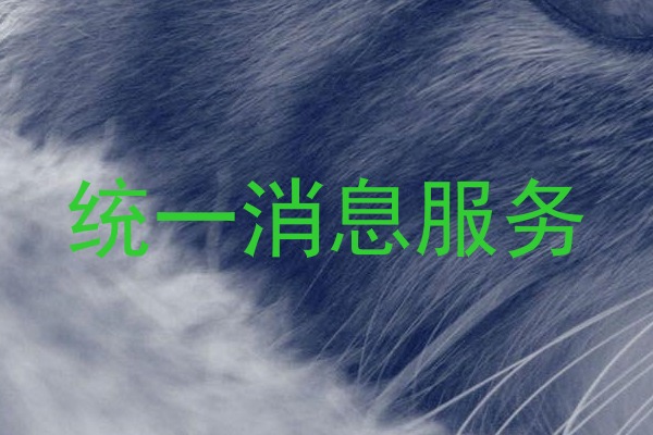 统一消息服务