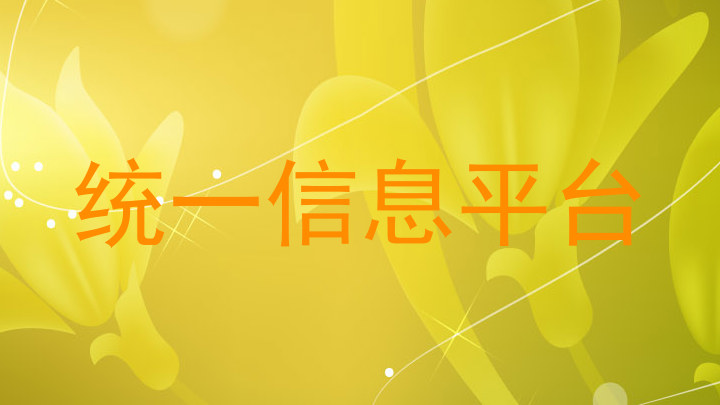 统一信息平台
