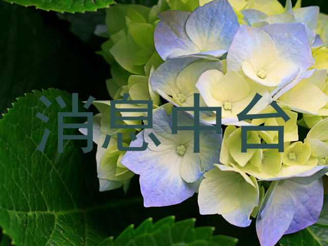 消息中台