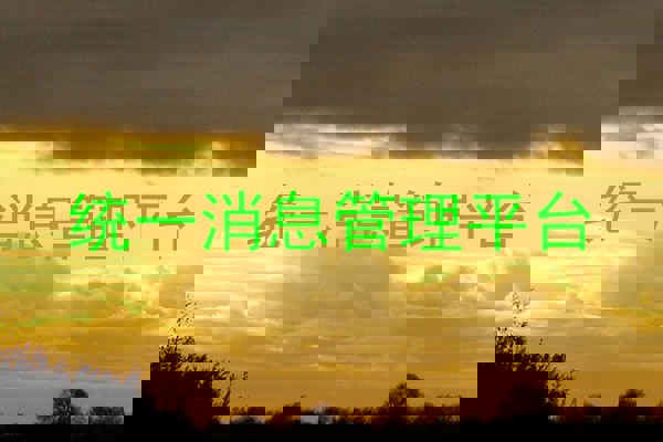统一消息管理平台