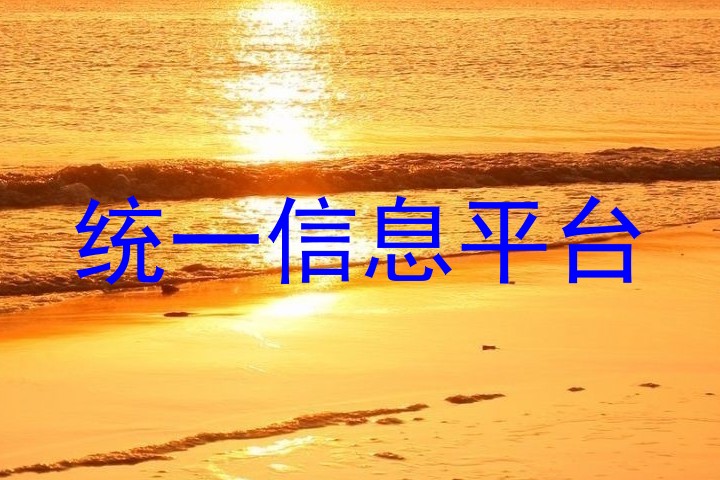 统一信息平台