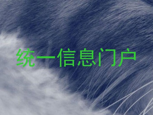 统一信息门户