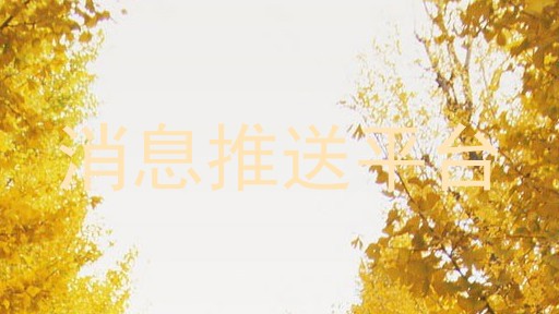 消息推送平台