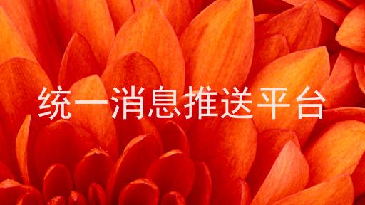 统一消息推送平台