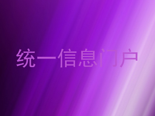 统一信息门户