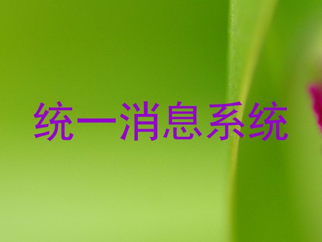 统一消息系统