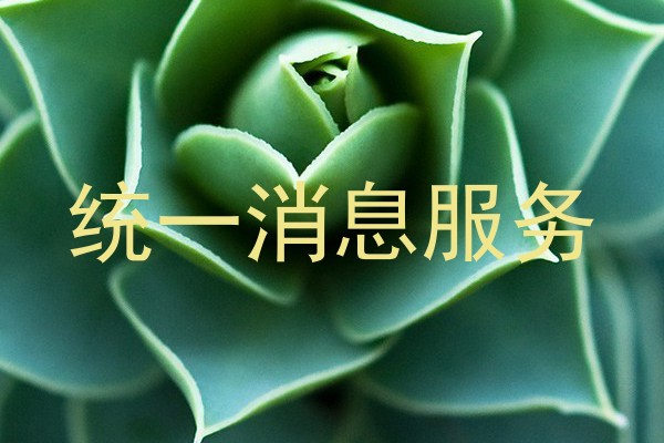 统一消息服务