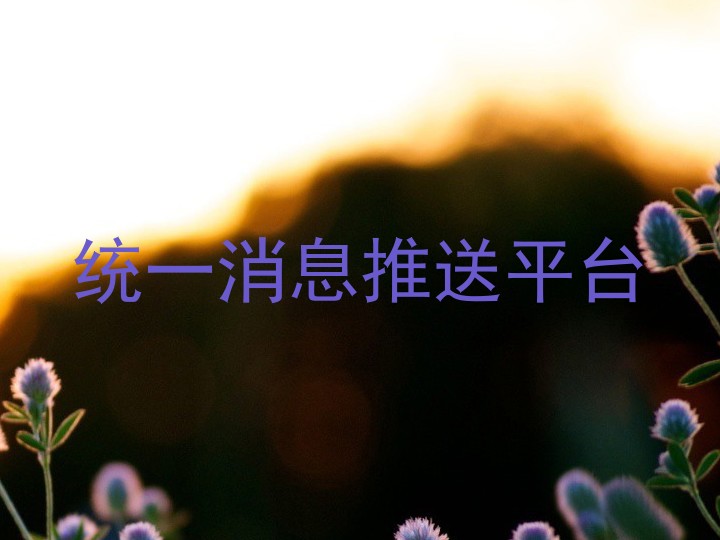 统一消息推送平台