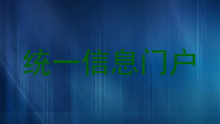 统一信息门户