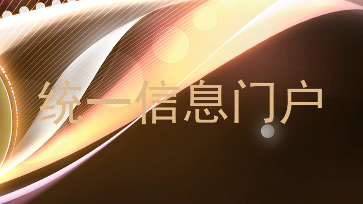 统一信息门户