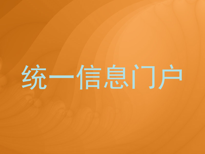 统一信息门户