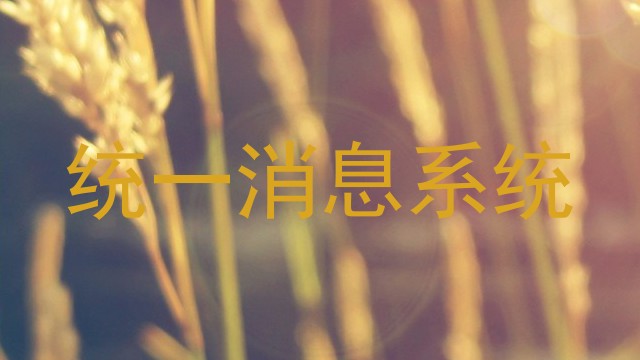 统一消息系统