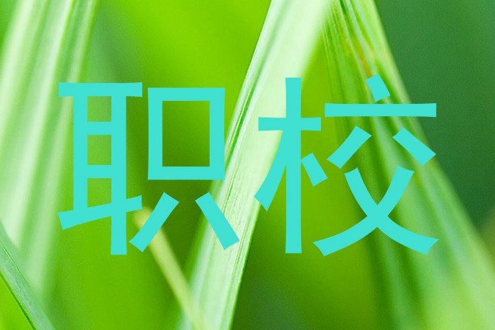 职校