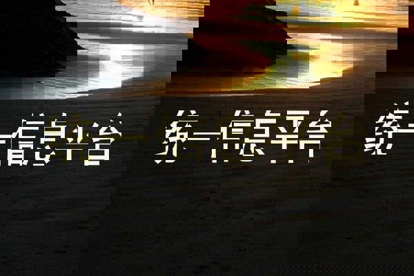 统一信息平台