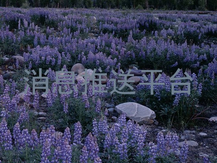 消息推送平台