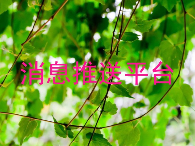 消息推送平台