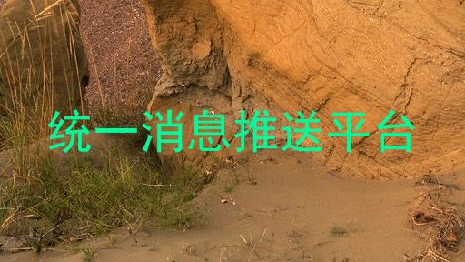 统一消息推送平台