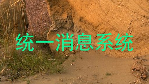 统一消息系统