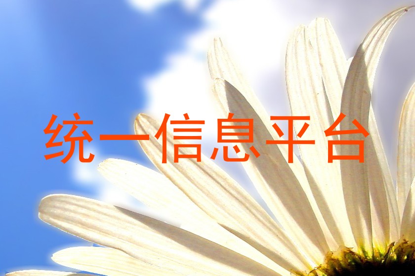 统一信息平台