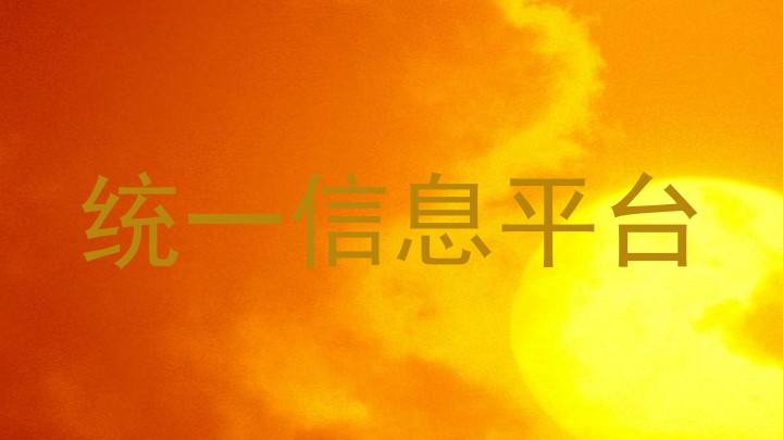 统一信息平台