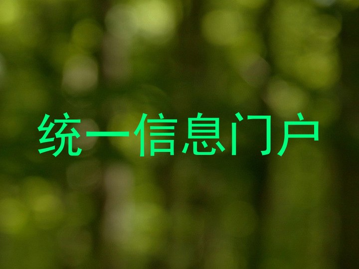 统一信息门户
