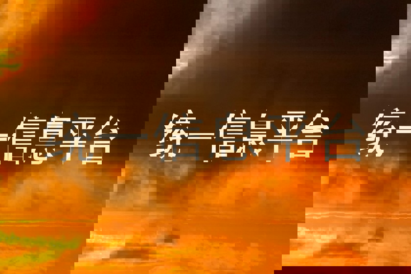 统一信息平台