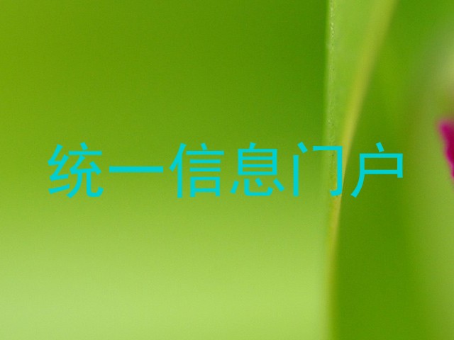 统一信息门户