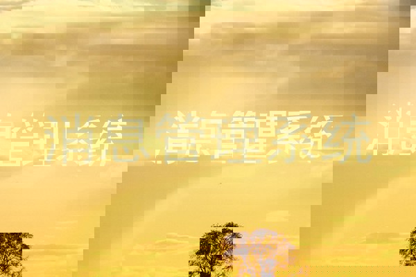 消息管理系统
