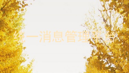 统一消息管理平台