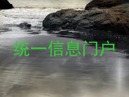 统一信息门户