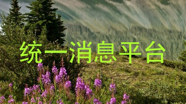 统一消息平台