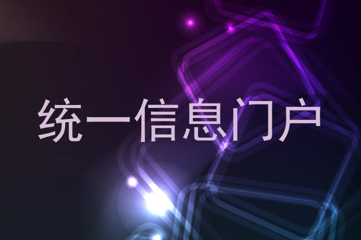 统一信息门户