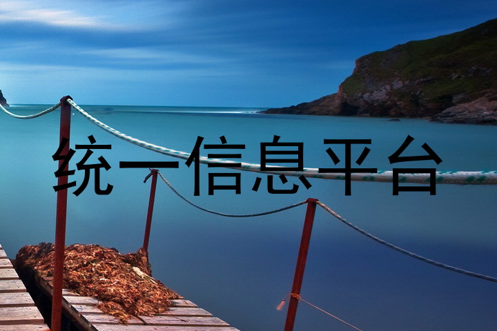 统一信息平台