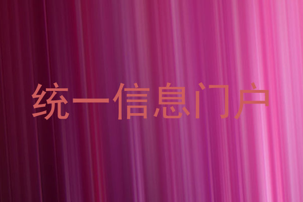 统一信息门户