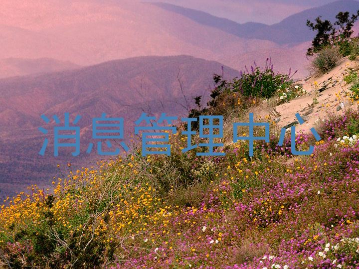 消息管理中心