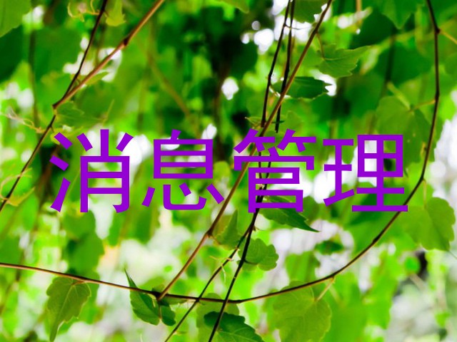 消息管理