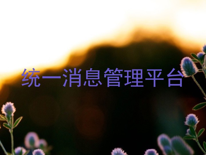 统一消息管理平台