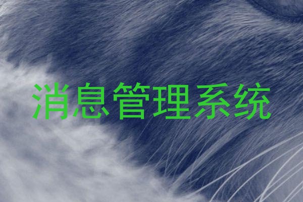 消息管理系统