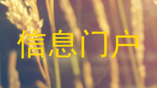 信息门户