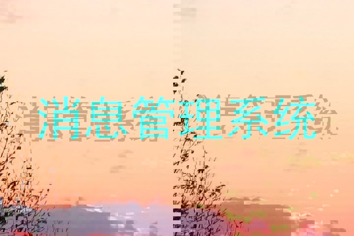 消息管理系统