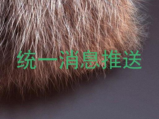 统一消息推送