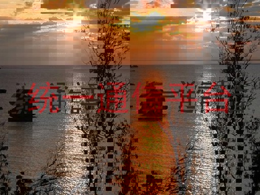 统一通信平台
