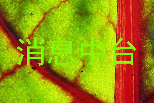 消息中台