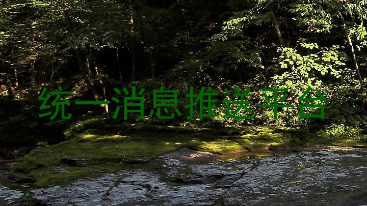 统一消息推送平台