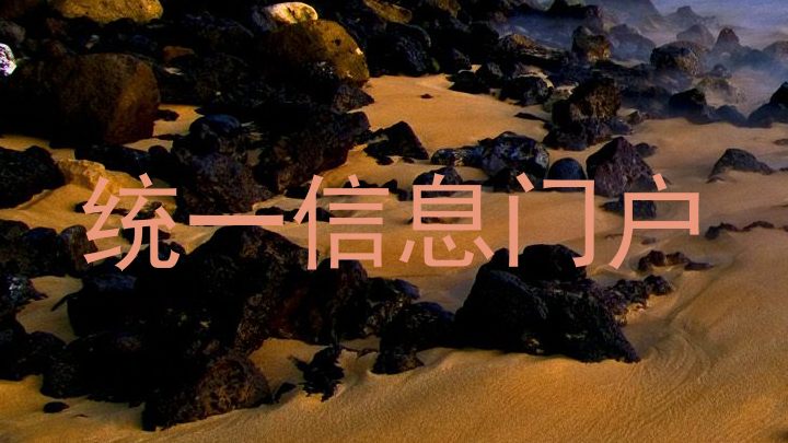 统一信息门户
