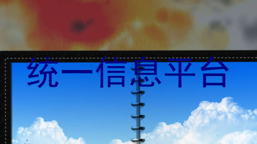 统一信息平台