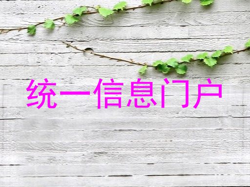 统一信息门户